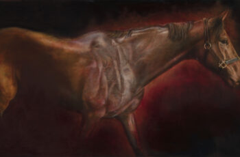 Knight’s Choice 2024